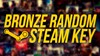 Купить лицензионный ключ Random BRONZ Steam Key на SteamNinja.ru