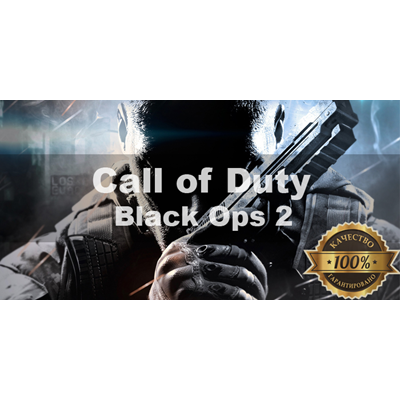 🎮Call of Duty Black Ops II 🌎Steam + 🎁 + Почта