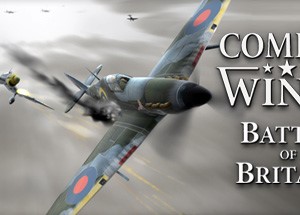 Обложка Combat Wings: Battle of Britain (STEAM KEY / GLOBAL)