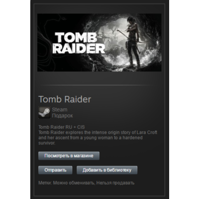 Tomb Raider 2013 (Steam, Tradable Gift, ROW)
