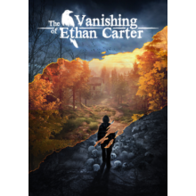 The Vanishing of Ethan Carter (Steam Key / Region Free)