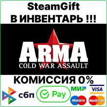 ARMA: Cold War Assault [Steam Gift/Region Free]💳0%