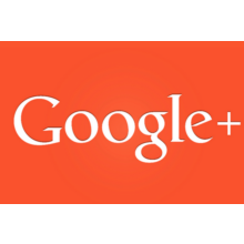 GOOGLE PLUS LIKE