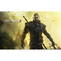 The Witcher 2: Assassins of Kings Enhanced Ed.(GOG)