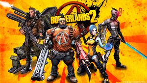 Обложка Borderlands 2 Steam + Почта + Смена данных