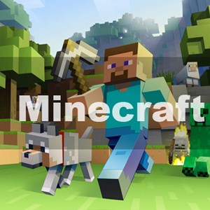 Minecraft Premium Полный доступ + ПОЧТА + ГАРАНТИЯ