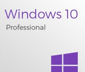Windows 10 Pro 1 PC 32/64 bit full