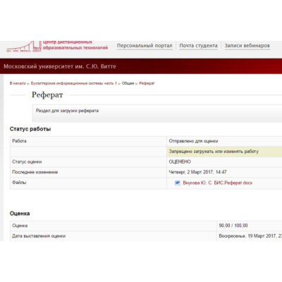 Бухгалтерские информационные системы ч. 1 Реферат Витте