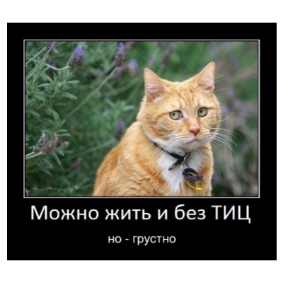 База сайтов для поднятия тИЦ и продвижения
