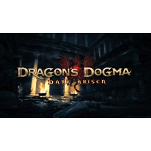 Dragon's Dogma: Dark Arisen (Steam/Весь Мир)