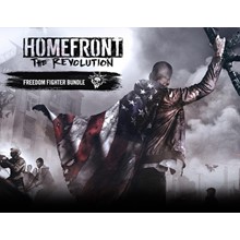 🔥 Homefront The Revolution (STEAM key) RU+CIS - irongamers.ru