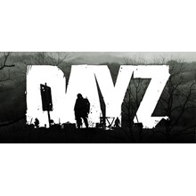 DayZ (Steam | RU+Gift)
