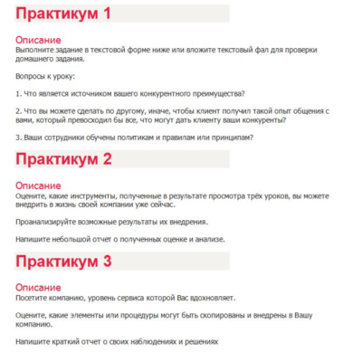 Бизнес-практикум Синергия (Первоклассный сервис)