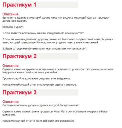 Бизнес-практикум Синергия (Первоклассный сервис)