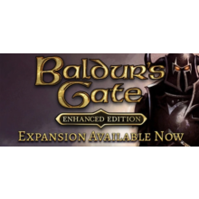 Baldur's Gate: Enhanced Edition (Steam | Region Free)