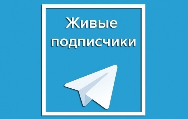 🔥 200 живых подписчиков телеграм без отписок + лайки❤️