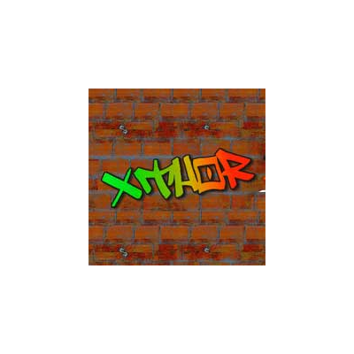 Аккаунт Xthor.tk