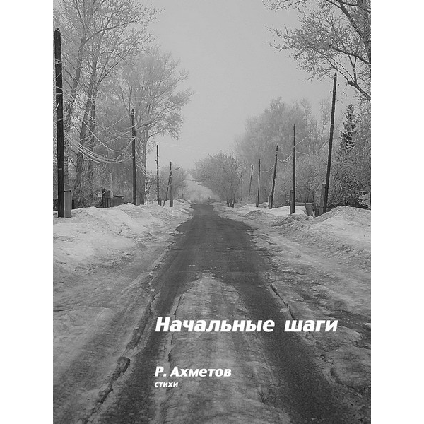 «Начальные шаги» Руслан Ахметов