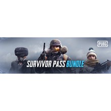 PUBG - Survivor Pass 4 Aftermath (Steam Key. Ru/CIS)