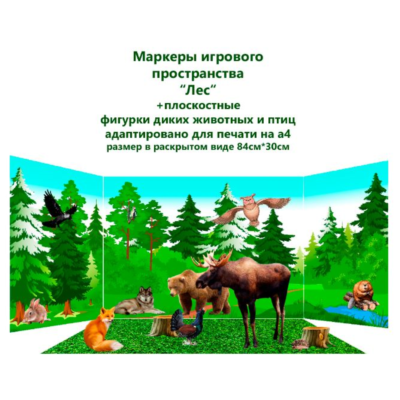 Маркеры игрового пространства "Природные зоны"