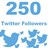  Twitter читатели 250 ДЕШЕВО | Твиттер Подписчики 