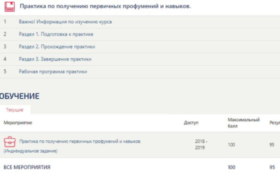 Практика по получению первичных умений.Отчет Синергия
