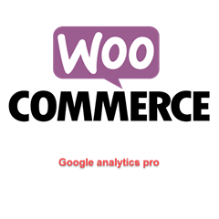 WP woocommerce-google-analytics-pro перевод на русский