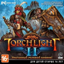 Torchlight III Steam  Key Region Free - irongamers.ru