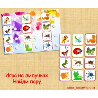 НАЙДИ ПАРУ насекомые /электронная версия