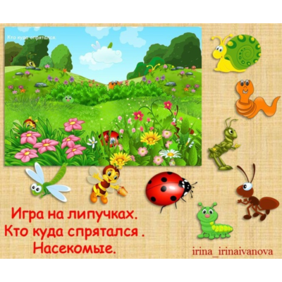 КТО КУДА СПРЯТАЛСЯ насекомые /электронная версия