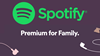 Купить аккаунт Spotify Premium family member ГАРАНТИЯ!🔴 3 месяца!🔴 на SteamNinja.ru