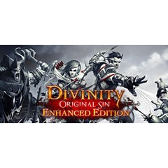 Divinity: Original Sin Enhanced Edition Gift RU/CIS