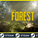 ⭐️ The Forest - Лицензия STEAM (Region free) ФОРЕСТ