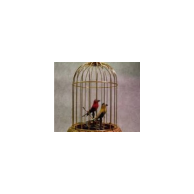 Нотр Дам - Птицы в клетках - ноты, табы