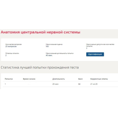 Анатомия центральной нервной системы (Синергия ответы)