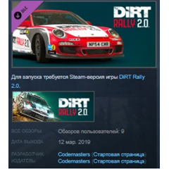 DiRT Rally 2.0 - Porsche 911 RGT Rally Spec STEAM KEY