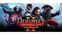 Divinity: Original Sin 2 | Steam gift Россия