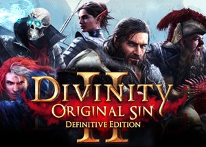 Обложка Divinity: Original Sin 2 - Eternal Edition Steam Россия