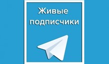 🔥 200 живых подписчиков телеграм без отписок +лайки❤