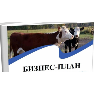 Бизнес-планирование в сельском хозяйстве