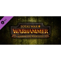 TOTAL WAR: WARHAMMER REALM OF THE WOOD ELVES (STEAM/RU)