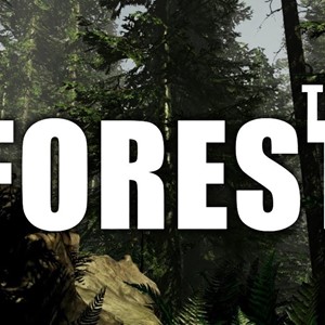 ⭐️The Forest - STEAM ЛИЦЕНЗИЯ Гарантия 100%⭐️