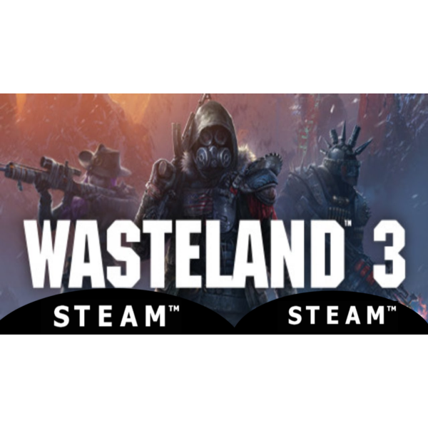 ⭐ Wasteland 3 — STEAM (Region free)