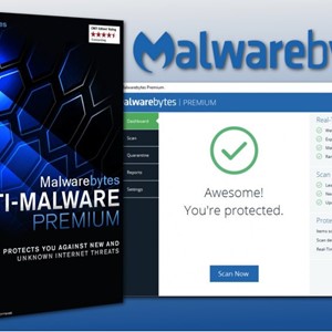 Malwarebytes Anti-Malware Premium 1 год/1-10 Устройств
