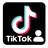 20000 подписчиков TikTok