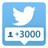 3000 подписчиков Twitter