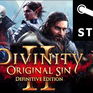Divinity Original Sin 2 Definitive Edition STEAM-GLOBAL