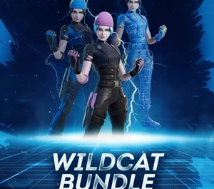 Обложка (FORTNITE) - Wildcat Bundle. Nintendo + ПОДАРОК