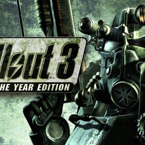 Fallout 3: Game of the Year Edition + Подарок за отзыв