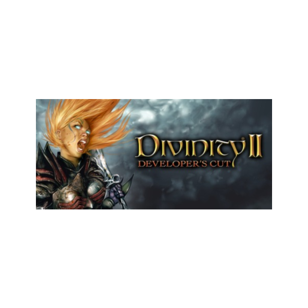 Divinity II Developer´s Cut (Steam Gift Россия)